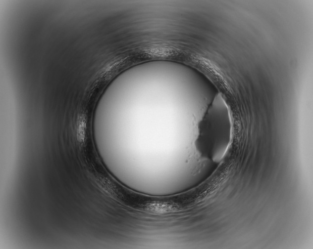 X0000095910596200801251011