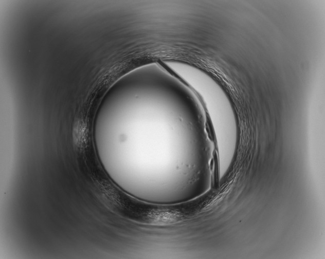 X0000095910597200801251011