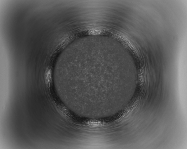 X0000095910598200801251011