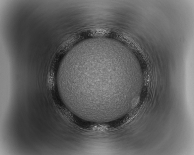 X0000095910599200801251011