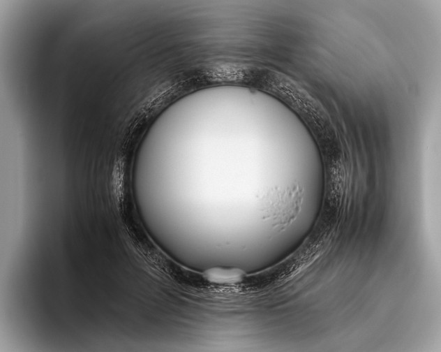 X0000095910600200801251011