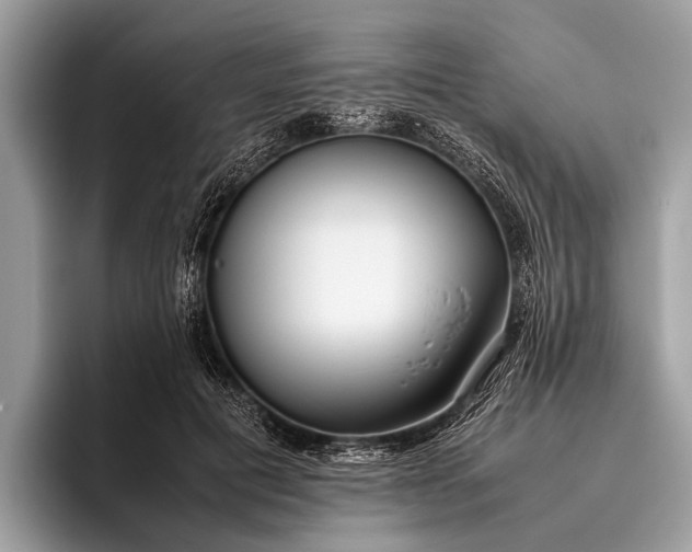 X0000095910601200801251011