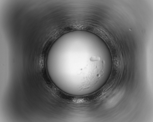 X0000095910602200801251011