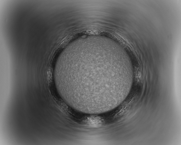 X0000095910603200801251011