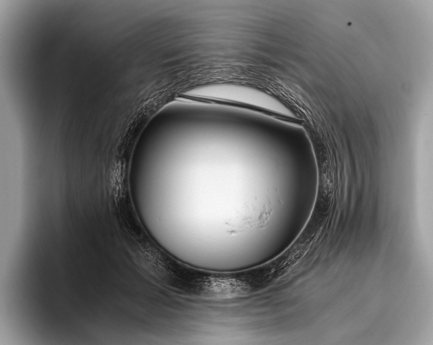 X0000095910605200801251011