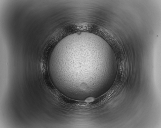 X0000095910606200801251011