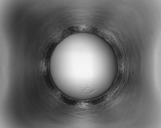 X0000095910607200801251011