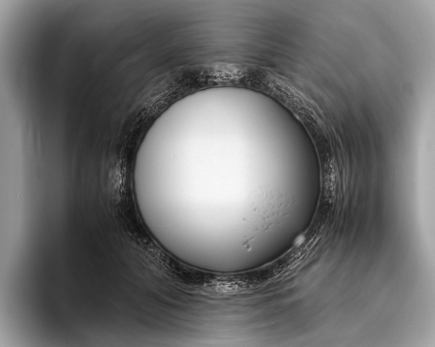 X0000095910608200801251011