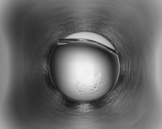 X0000095910609200801251011