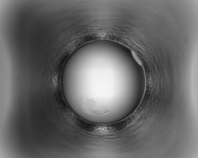 X0000095910611200801251011