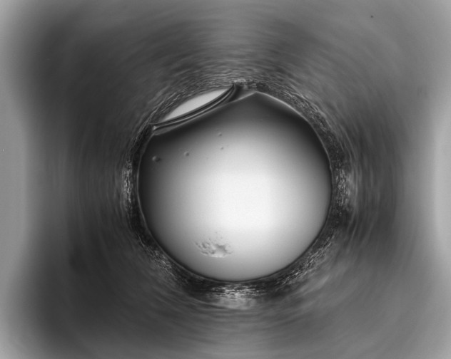 X0000095910612200801251011