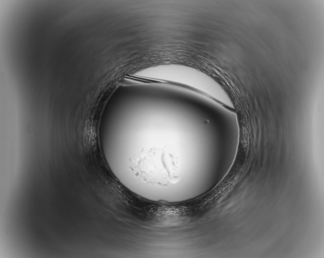 X0000095910613200801251011