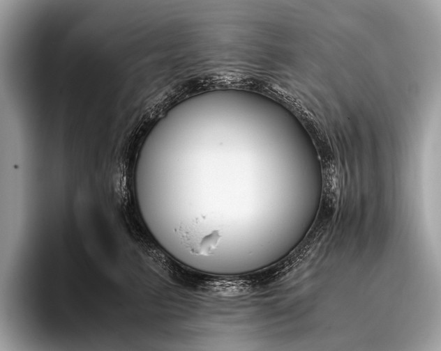 X0000095910615200801251011