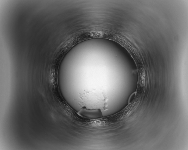 X0000095910616200801251011