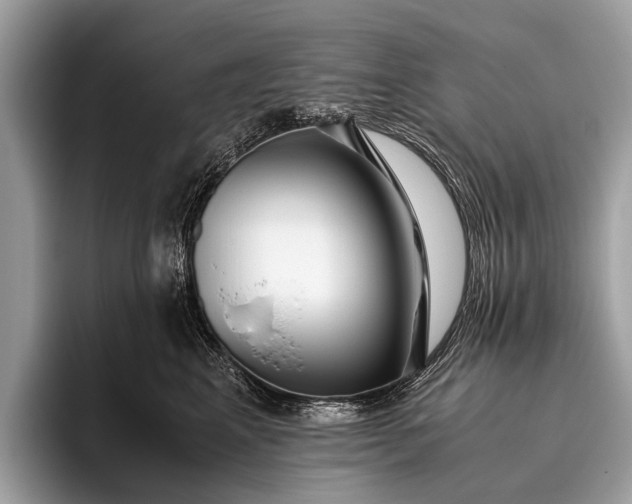 X0000095910617200801251011