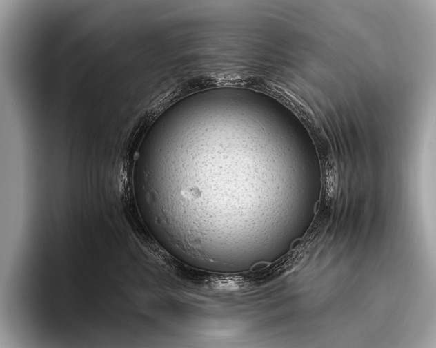 X0000095910618200801251011