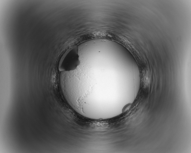 X0000095910619200801251011