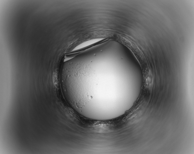 X0000095910620200801251011