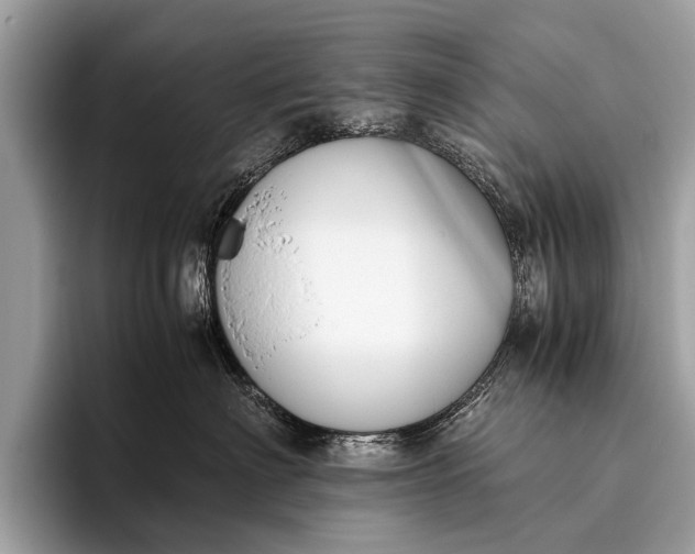 X0000095910622200801251011