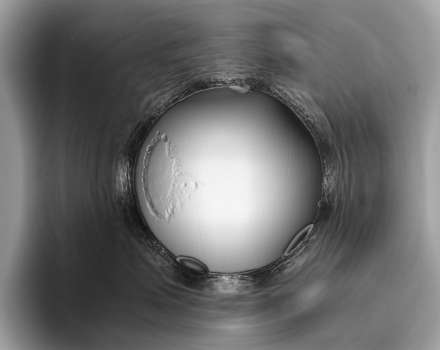 X0000095910623200801251011