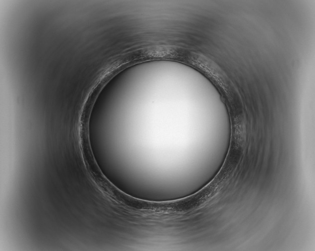 X0000095910626200801251010