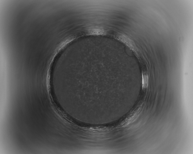 X0000095910627200801251010