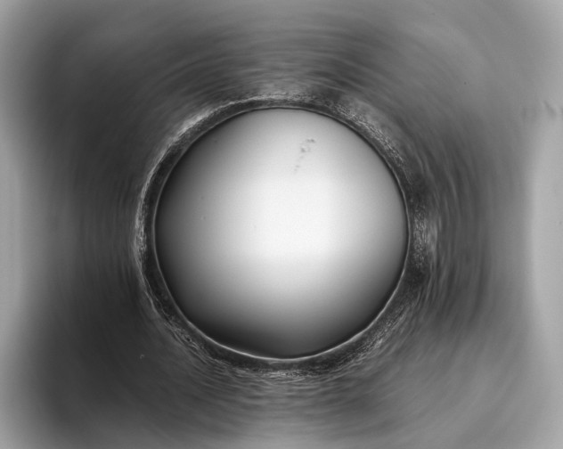 X0000095910628200801251010