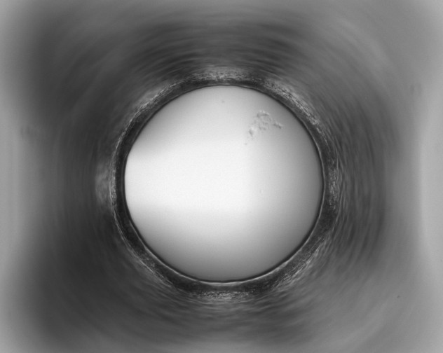 X0000095910629200801251010