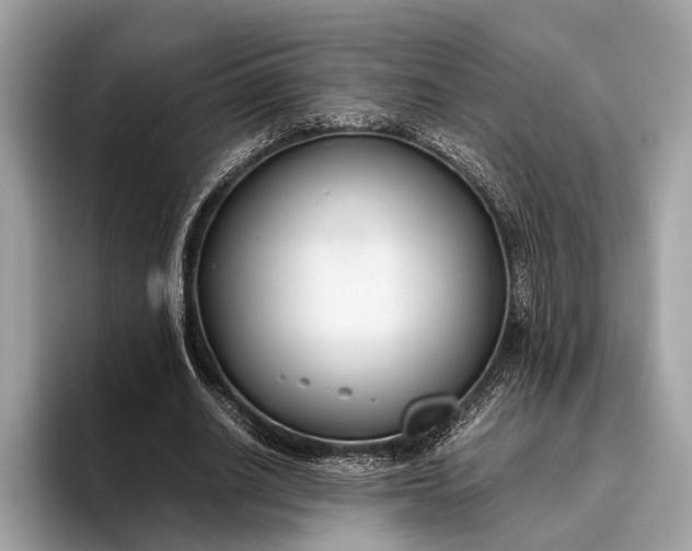 X0000095910630200801251010