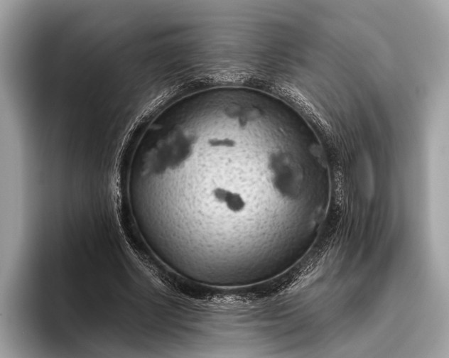 X0000095910634200801251010