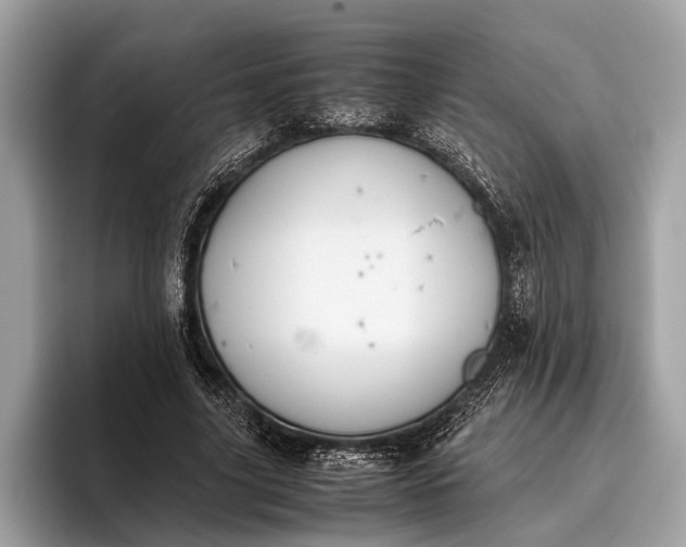 X0000095910635200801251010