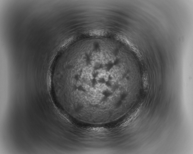 X0000095910637200801251010