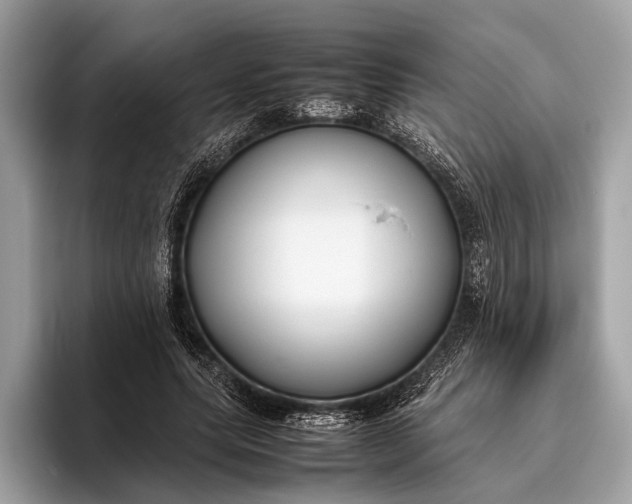 X0000095910639200801251010