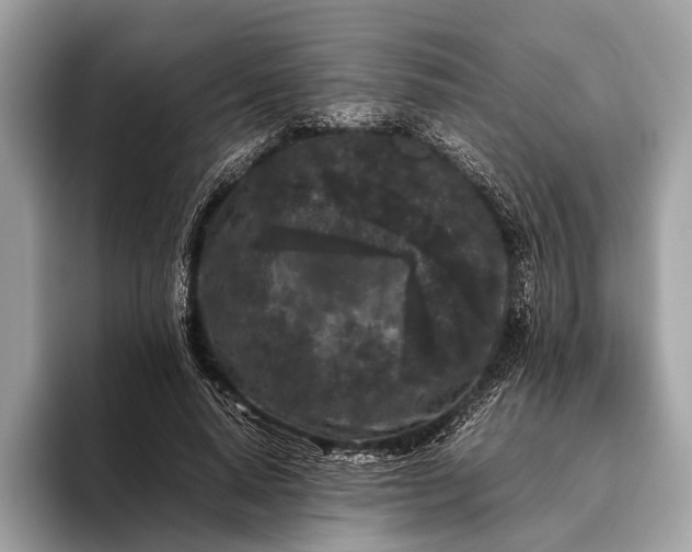 X0000095910640200801251010