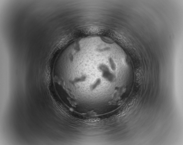 X0000095910642200801251011