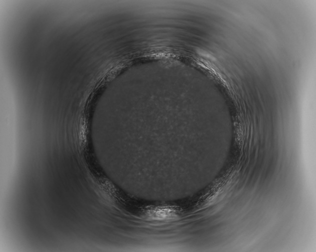 X0000095910643200801251011