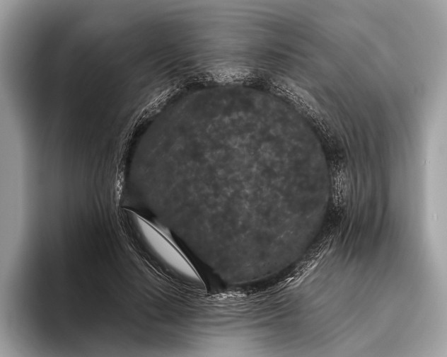 X0000095910644200801251011