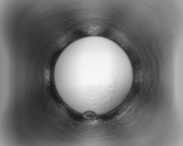 X0000095910646200801251011