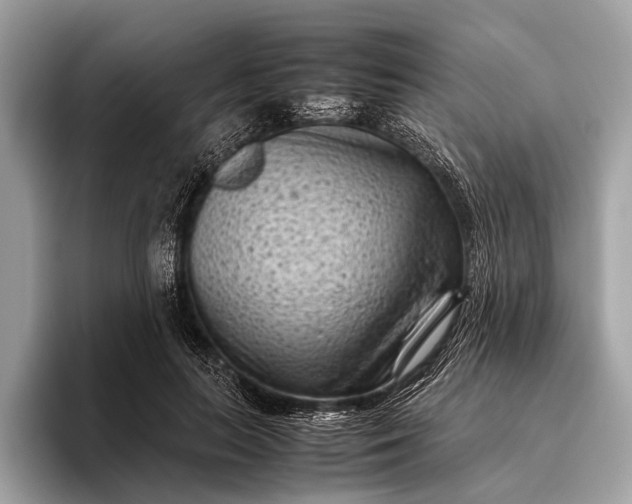 X0000095910647200801251011