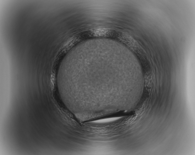 X0000095910648200801251011