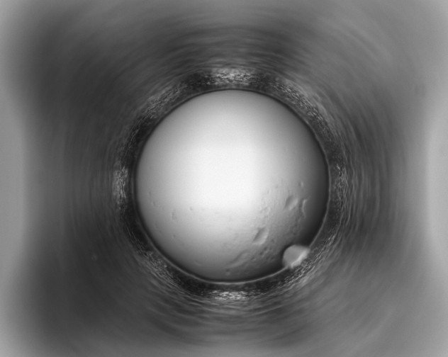 X0000095910649200801251011