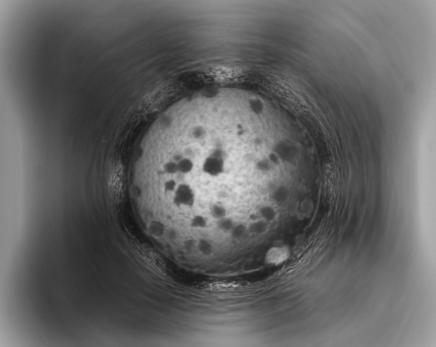 X0000095910650200801251011