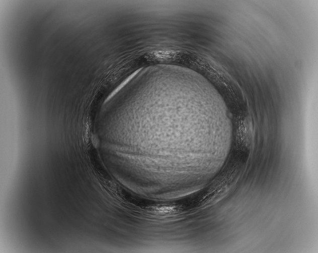 X0000095910651200801251011