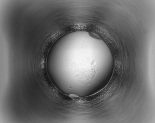 X0000095910652200801251011