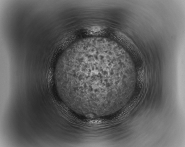 X0000095910653200801251011