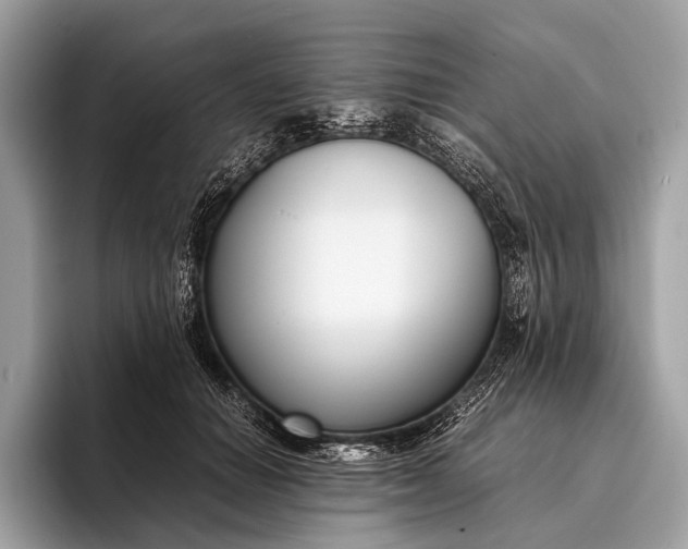 X0000095910654200801251011