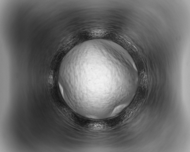 X0000095910655200801251011