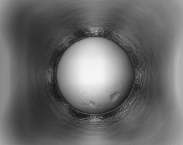 X0000095910656200801251011