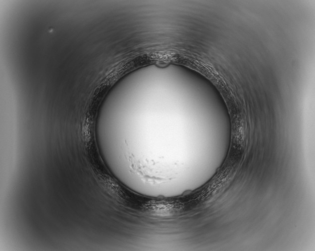 X0000095910658200801251011