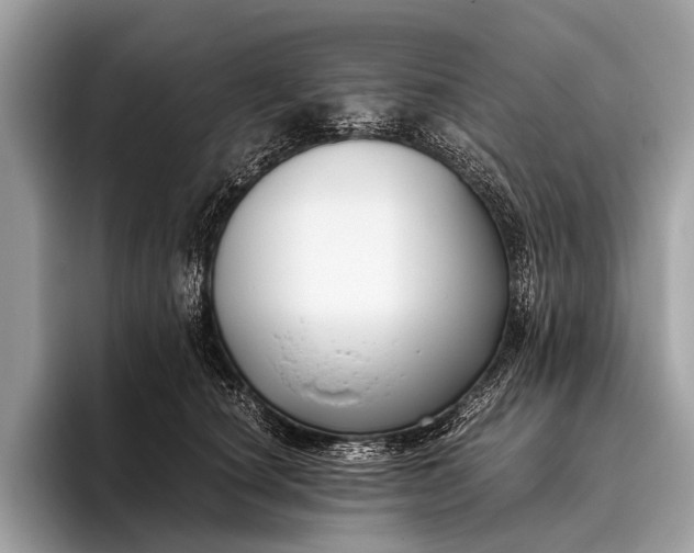 X0000095910660200801251011